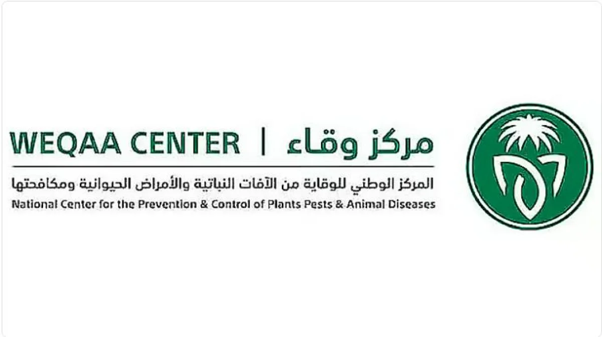 السعودية: انتشار الذبابة البيضاء في هذه المناطق والمصيدة الصفراء هي الحل المثالي