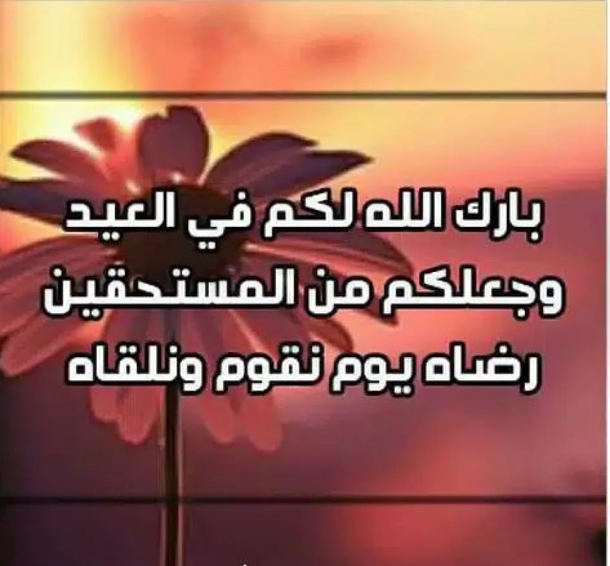 رسائل تهنئة جديدة بمناسبة عيد الاضحى 1447 - 2026