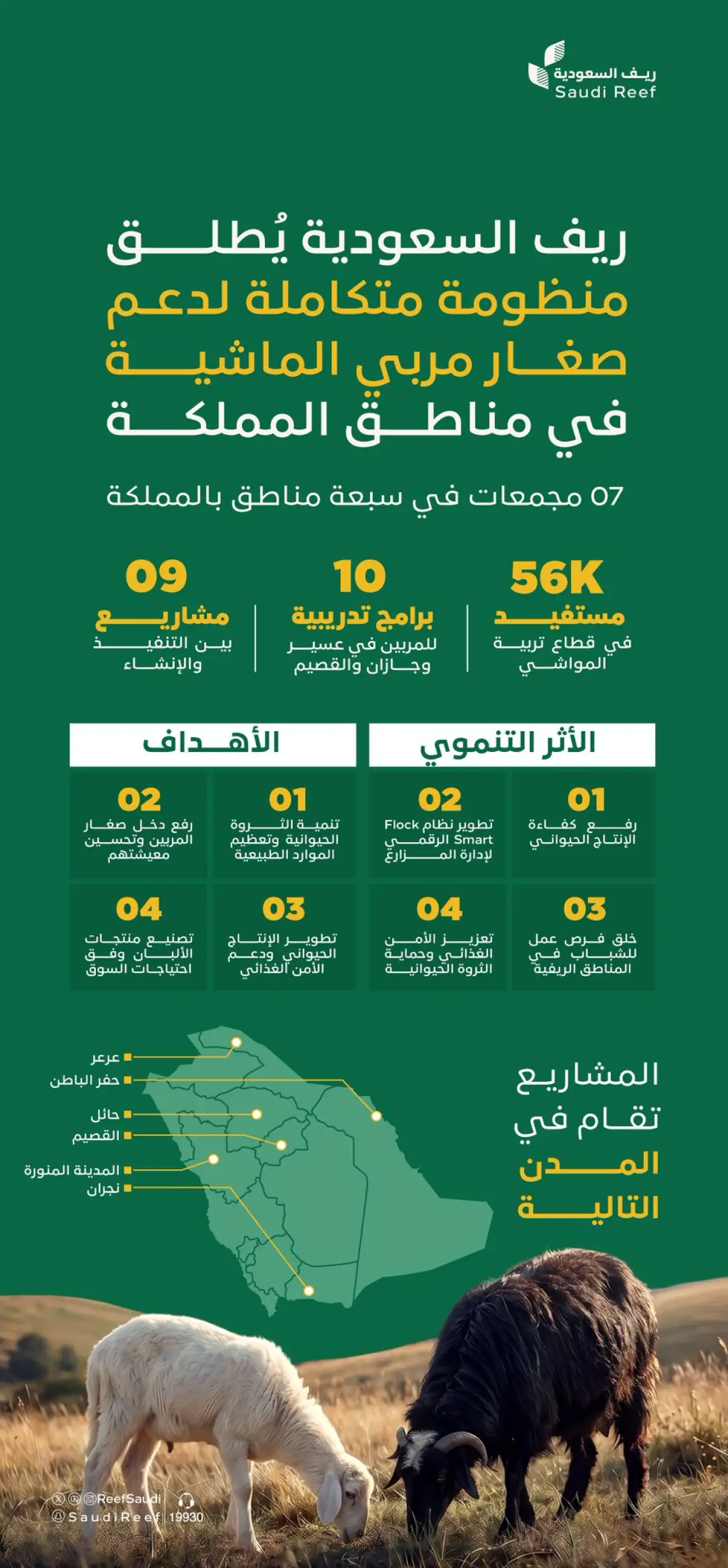 رسمياً: دعم جديد للمستفيدين من ريف في السعودية ومربين الماشية