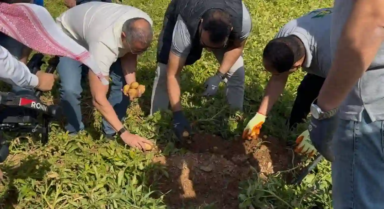 السعودية تعلن الاكتفاء الذاتي من محصول استراتيجي وتبدأ تصديره للعالم بمبالغ مهولة 