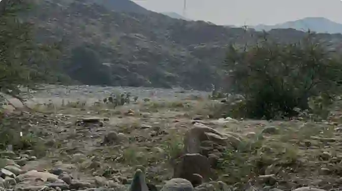 الدفاع المدني يحذر من طلعات البر ويحدد المناطق الاكثر خطورة للتخييم هذه الأيام 