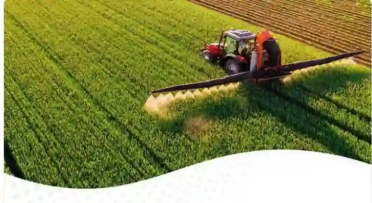 السعودية تصدر قرار هام حول مخزون القمح في المملكة