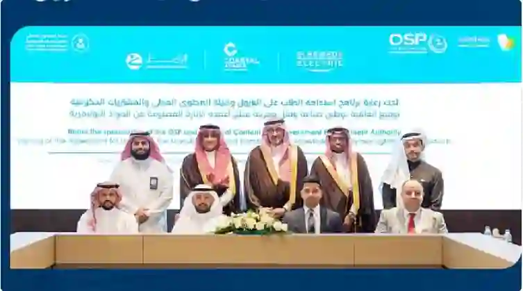 السعودية تبدأ تطبيق قرار جديد يغير شكل أعمدة الإنارة في جميع مناطق المملكة 