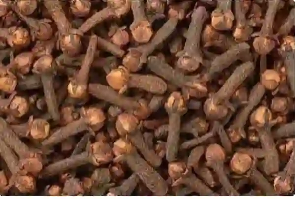 النمر يكشف تأثير شرب القهوة السعودية على سيولة الدم 