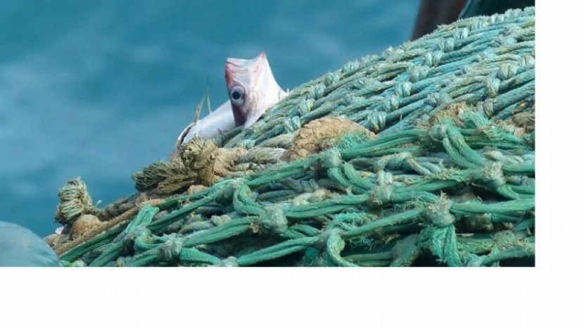 السعودية تعلن الحرب واستمرار عمليات القبض على المصريين