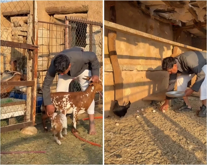 فيديو يشعل السعودية لما فعله خالد الزعاق مع الحمار والبيض 