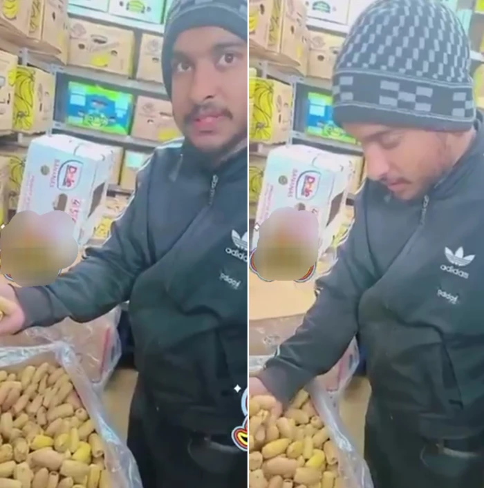 تعرف على أغلى نوع تمر في السعودية الكيلو بأكثر من 20.000 ريال