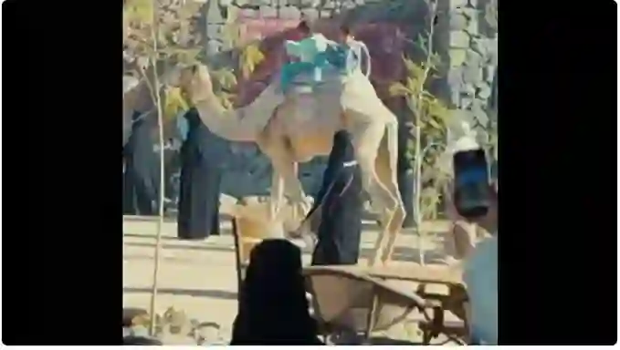 هذا ما حدث في جبل أُحُد اليوم واثار جدل واسع في السعودية 