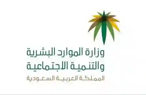 الموارد البشرية تحسم الجدل حول انواع المهن المحاسبية الخاضعة لقرار التوطين 