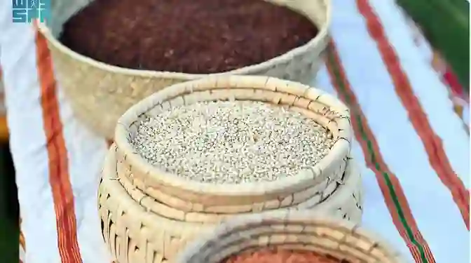 تعرف على نبات لن تجده في أي مكان في العالم إلا في عسير جنوب السعودية 